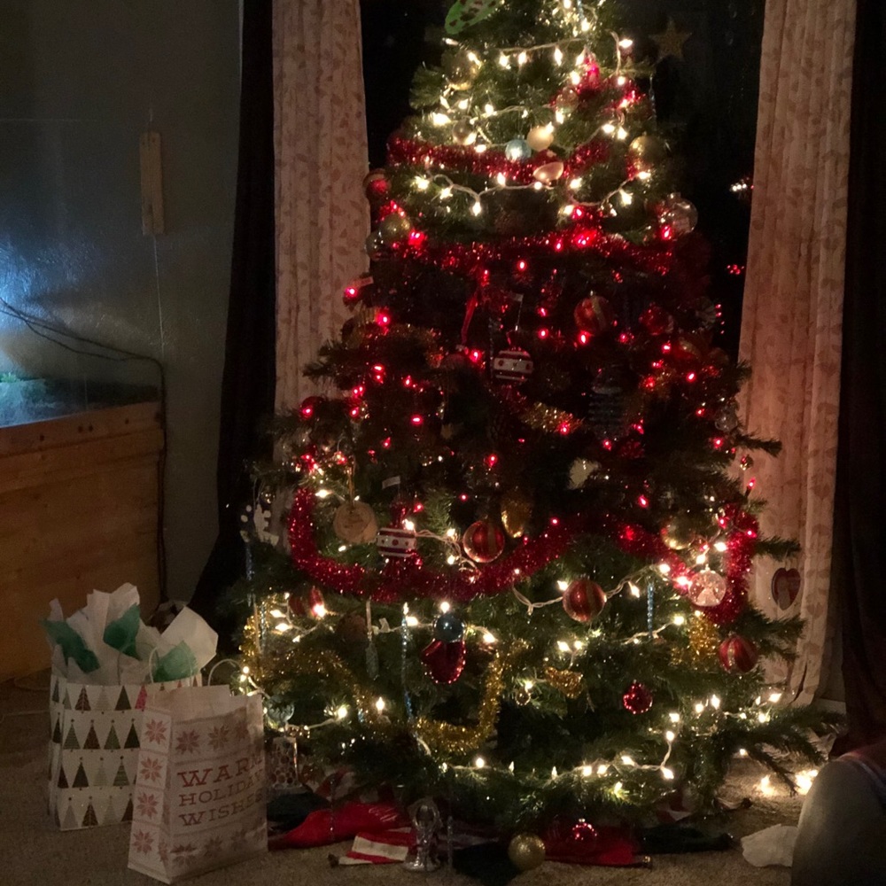 Meet your Posher, Candise